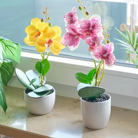 Homestead - Grubweg Apartment