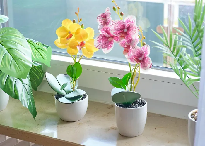 Homestead - Grubweg Lejlighed